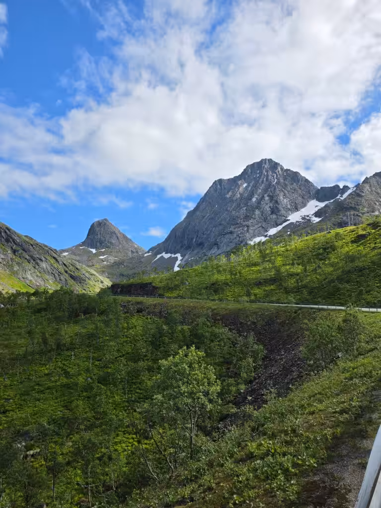 Prachtig berglandschap met groene alpenweiden en besneeuwde toppen