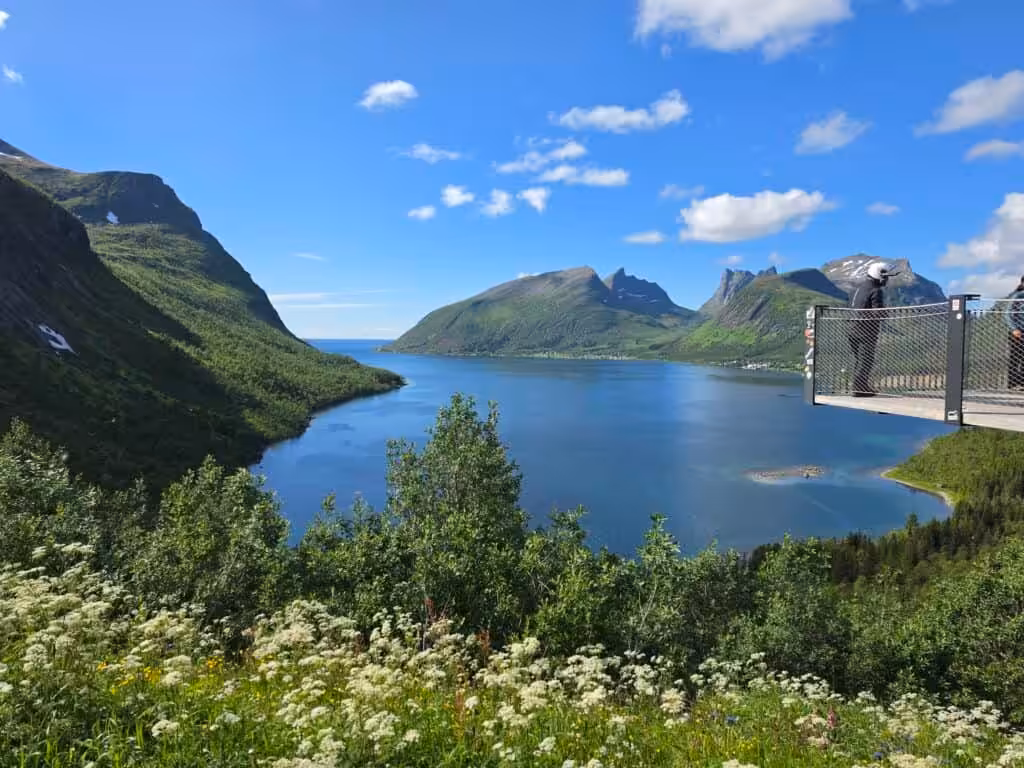 Fjordblick mit Bergen und Aussichtsplattform bei klarem Wetter