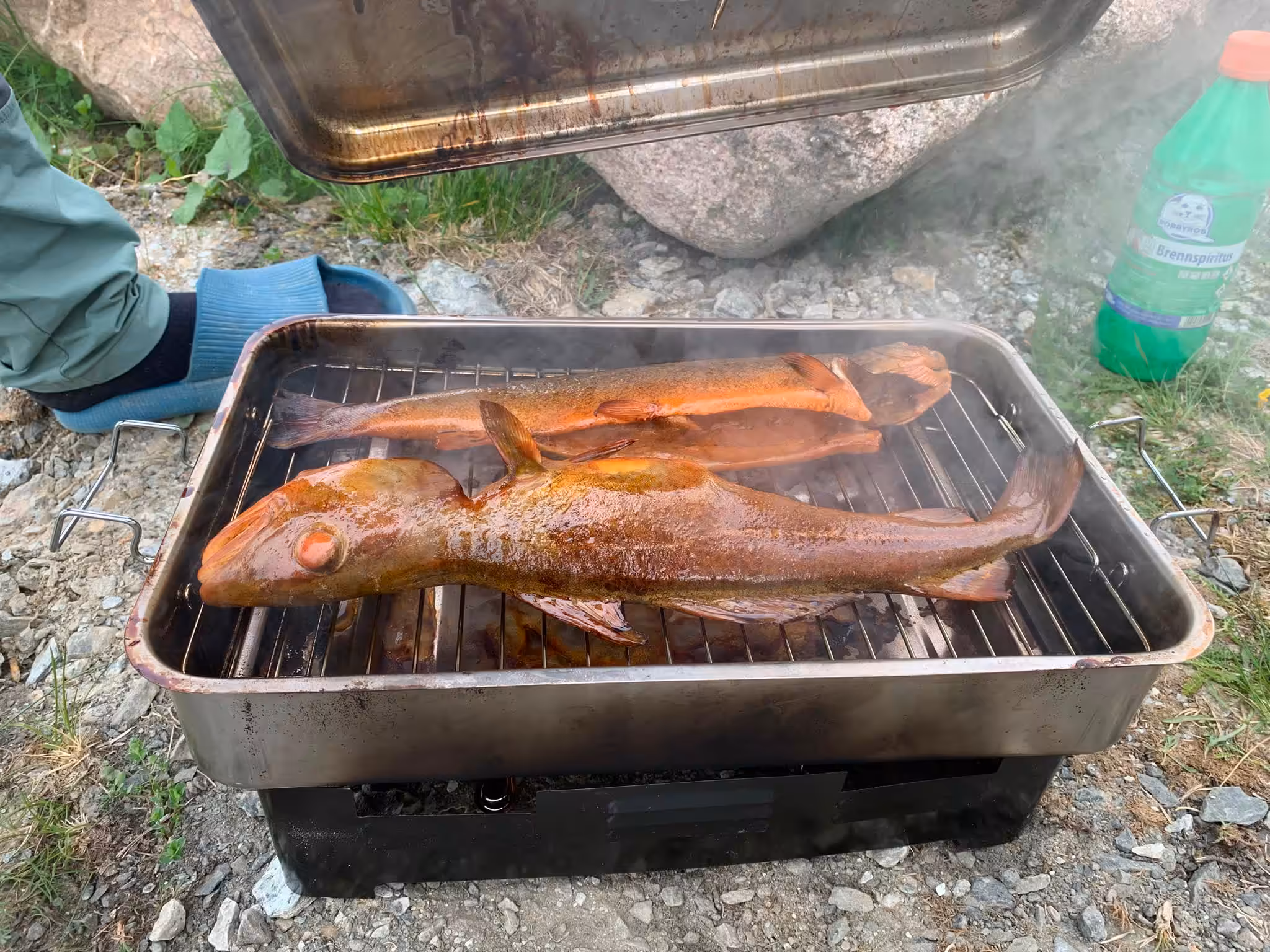 Geräucherte Fische in einem Metallräucherofen im Freien.